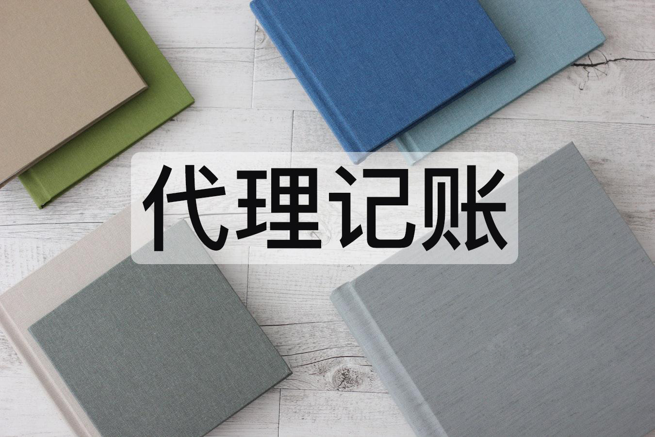 中小微企業(yè)記賬報(bào)稅代理公司