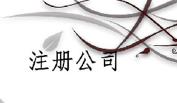 注冊(cè)公司為什么推薦找代理注冊(cè)公司的機(jī)構(gòu)呢？